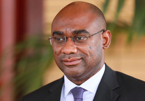 Restauration forestière : Kokoroko crée le CNSF