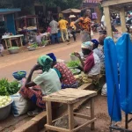 Savanes : la BAD envisage un don d'un million de dollars pour renforcer la résilience