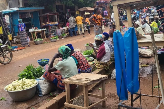 Savanes : la BAD envisage un don d'un million de dollars pour renforcer la résilience
